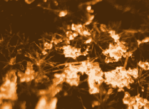 Bild zum Ring des Nibelungen